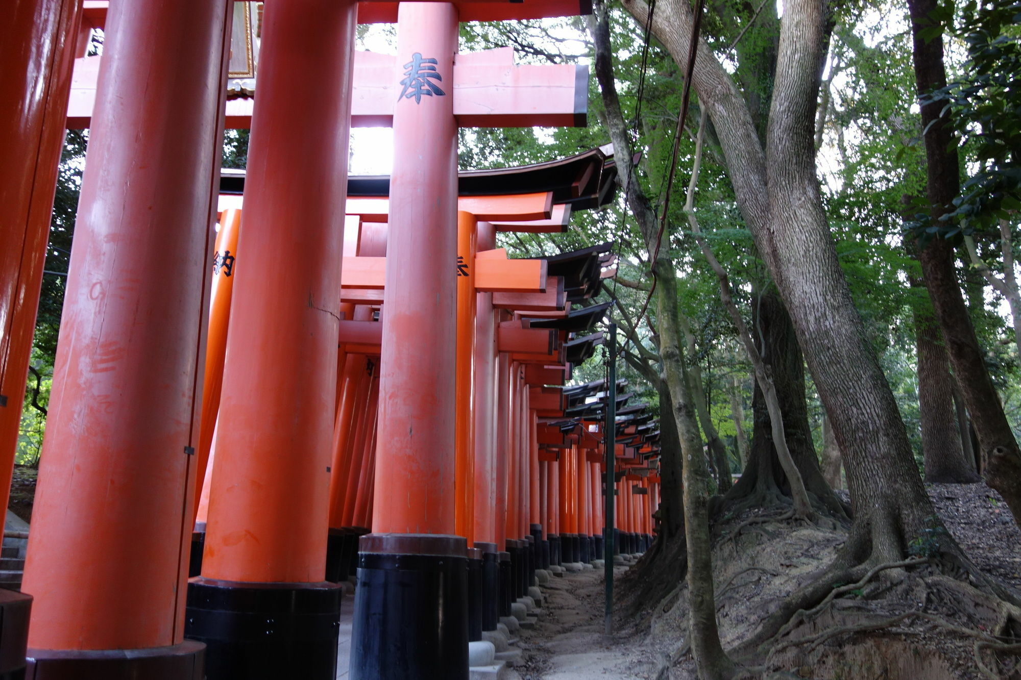 Kyo-Machiya Stay Waka Fushimiinari 京都 外观 照片